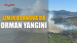İzmir Bornova'da orman yangını